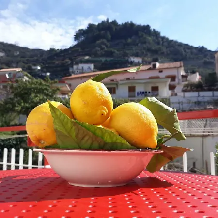 Osolemiohouse Minori